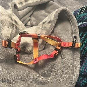 Top Paw Orange and Yellow Dog Harness